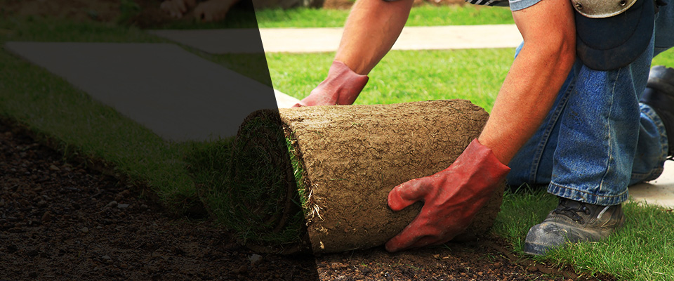 Jonesville Landscapers